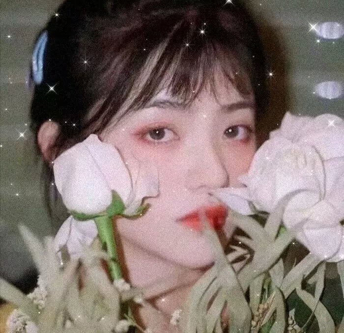 舒克与桃花